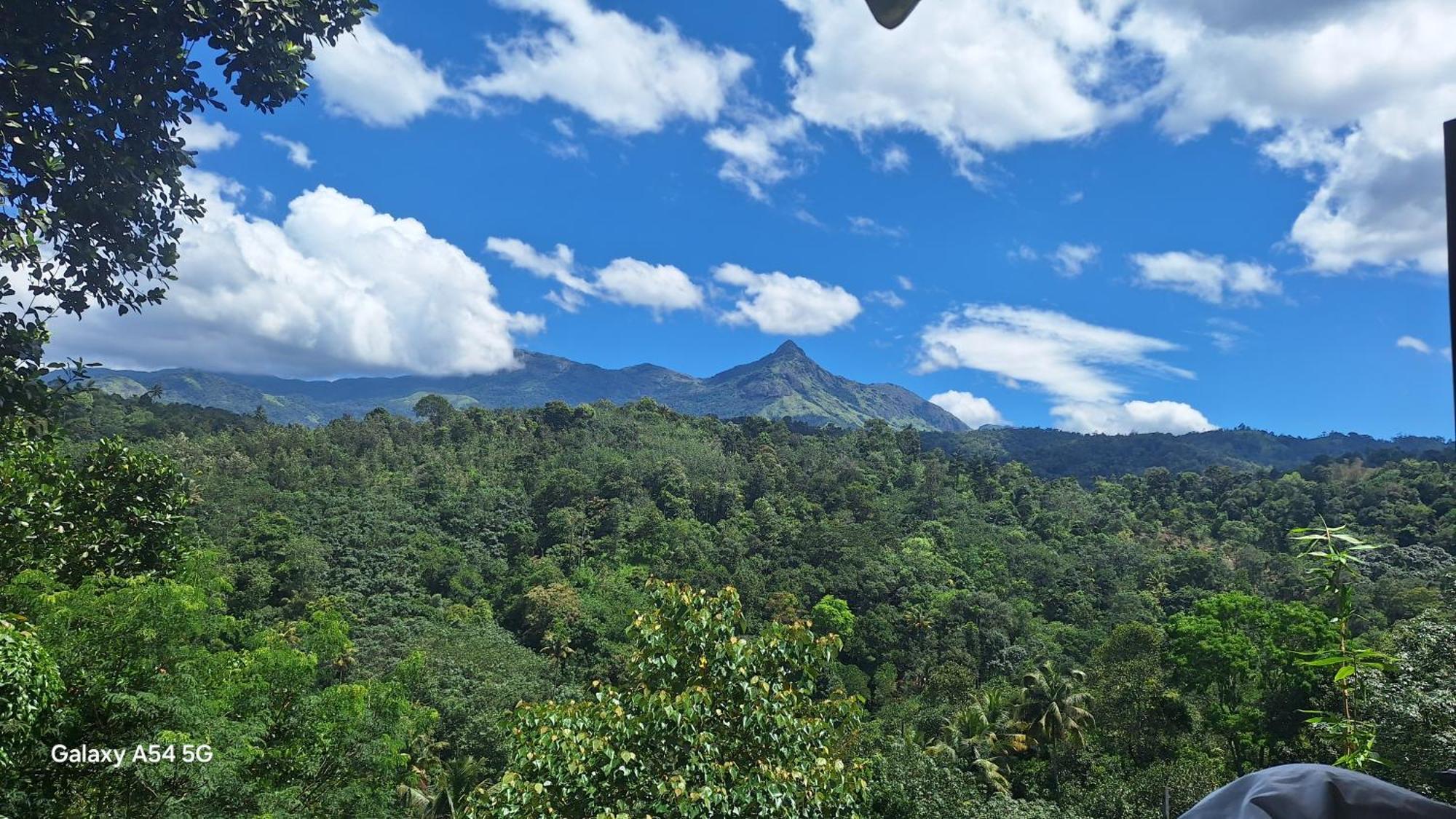 Winterhome Homestay Munnar Room photo